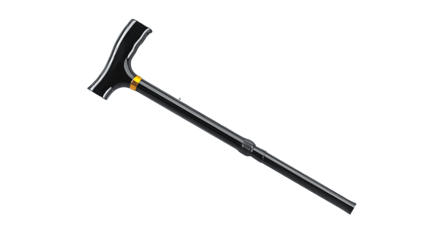 Walking Stick